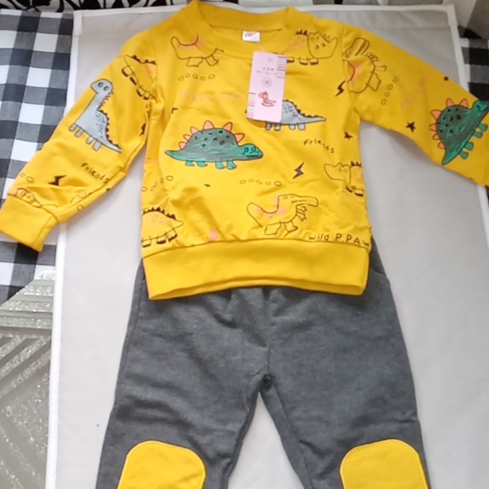 Boys Dinosaur jogger sweat set